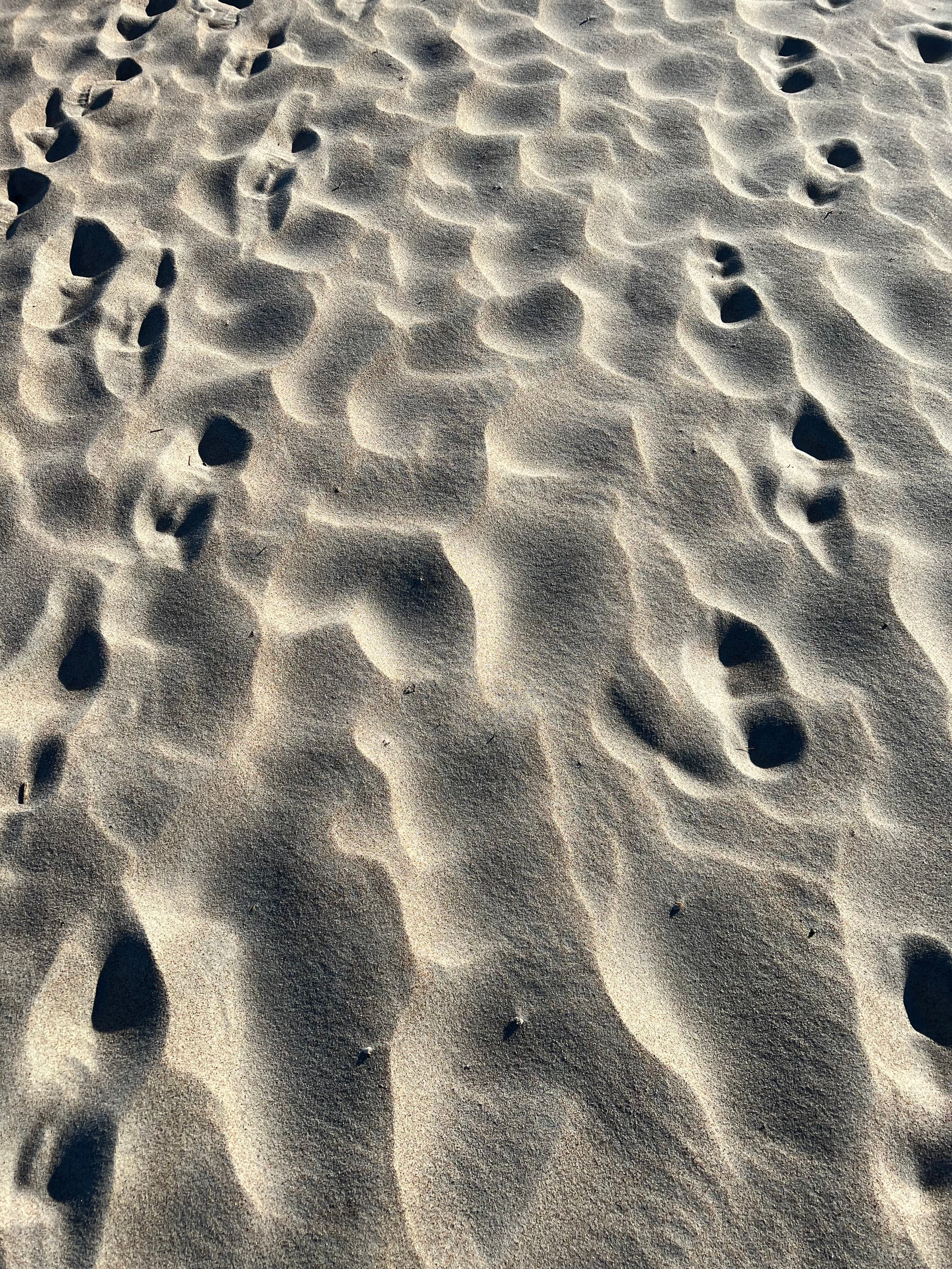 sandsteps
